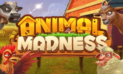 Animal Madness