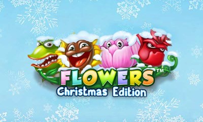 Flowers Christmas