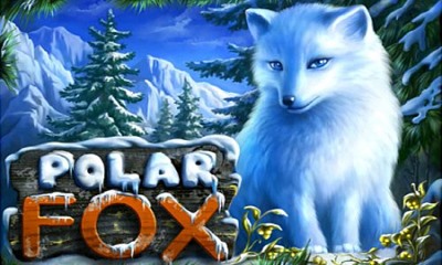 Polar Fox